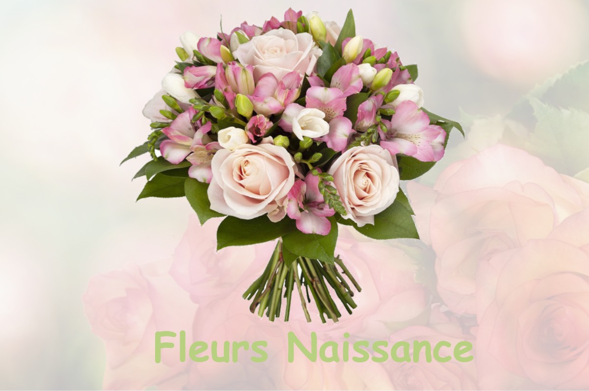 fleurs naissance SAVIANGES