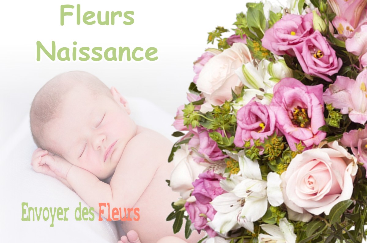 lIVRAISON FLEURS NAISSANCE à SAVIANGES